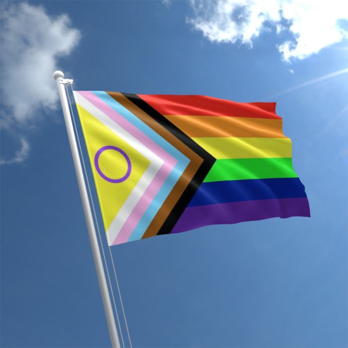 The “new” rainbow flag should be more inclusive – QX